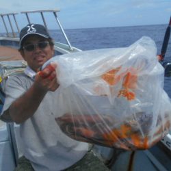 大進丸(愛知) 釣果