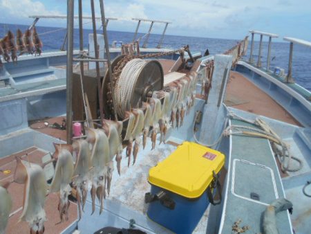 大進丸(愛知) 釣果