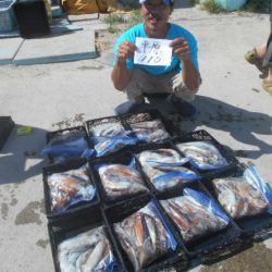 大進丸(愛知) 釣果