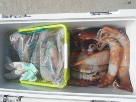 大進丸(愛知) 釣果