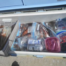 大進丸(愛知) 釣果