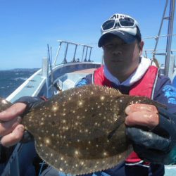 大進丸（愛知） 釣果