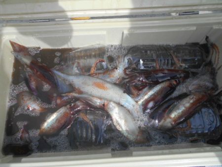 大進丸（愛知） 釣果