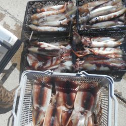 大進丸（愛知） 釣果