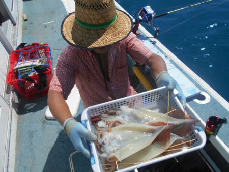 大進丸（愛知） 釣果