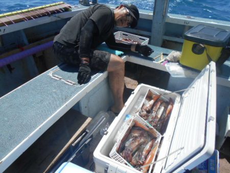 大進丸（愛知） 釣果