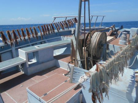大進丸（愛知） 釣果