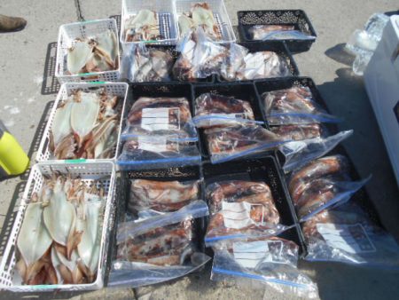 大進丸（愛知） 釣果