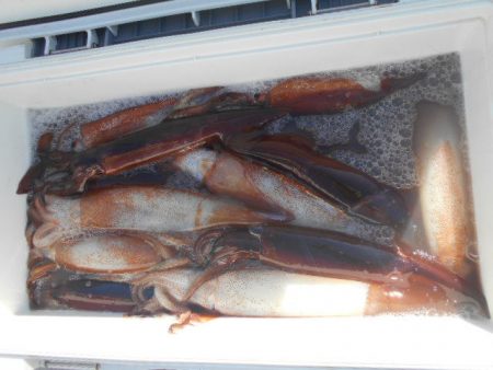 大進丸（愛知） 釣果