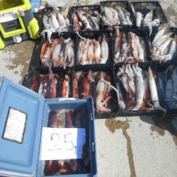 大進丸（愛知） 釣果