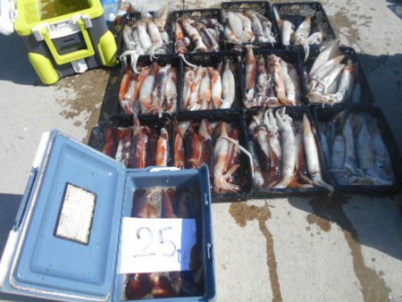 大進丸（愛知） 釣果