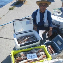 大進丸（愛知） 釣果