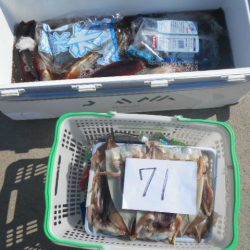 大進丸（愛知） 釣果