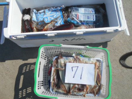 大進丸（愛知） 釣果