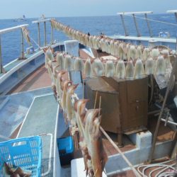 大進丸（愛知） 釣果