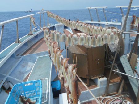 大進丸（愛知） 釣果