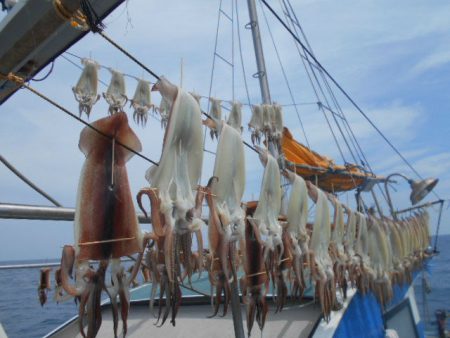 大進丸（愛知） 釣果