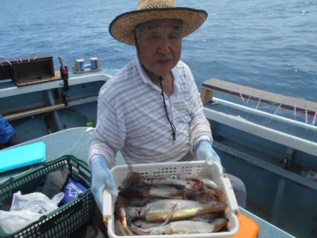 大進丸（愛知） 釣果