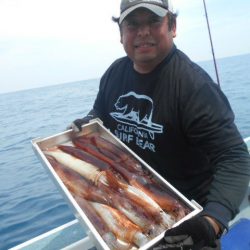 大進丸（愛知） 釣果