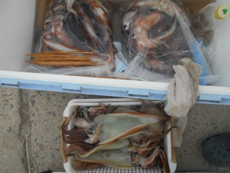 大進丸（愛知） 釣果