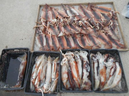 大進丸（愛知） 釣果