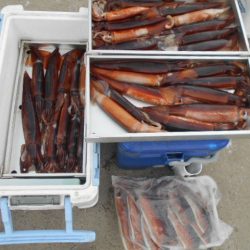 大進丸（愛知） 釣果