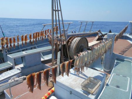 大進丸（愛知） 釣果