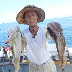 大進丸（愛知） 釣果