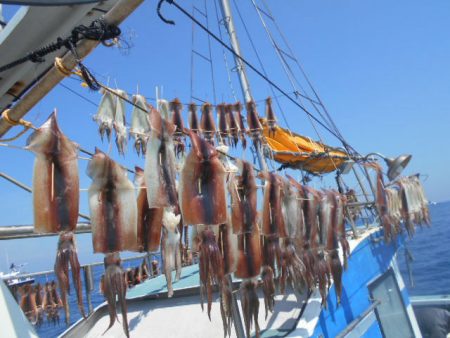大進丸（愛知） 釣果