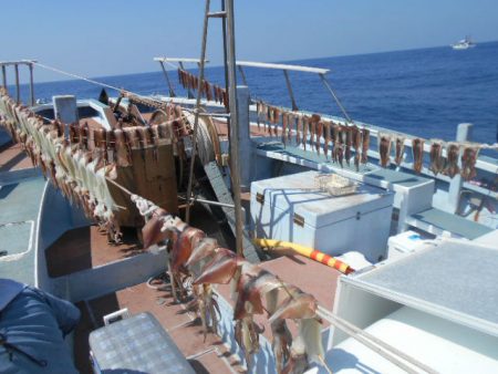 大進丸（愛知） 釣果