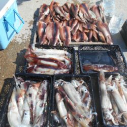 大進丸（愛知） 釣果