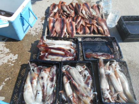 大進丸（愛知） 釣果