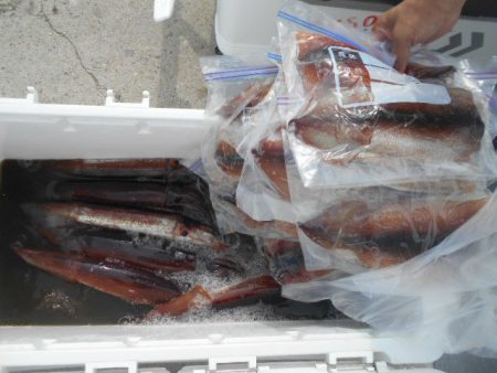 大進丸（愛知） 釣果