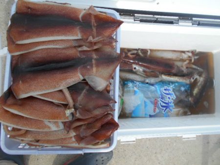 大進丸（愛知） 釣果