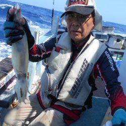 大進丸（愛知） 釣果