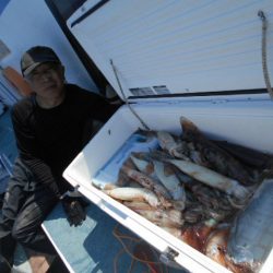 大進丸（愛知） 釣果