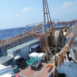 大進丸（愛知） 釣果