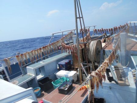 大進丸（愛知） 釣果