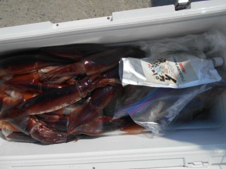 大進丸（愛知） 釣果