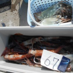 大進丸（愛知） 釣果