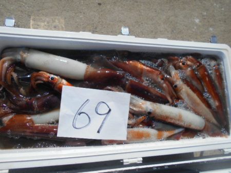 大進丸（愛知） 釣果