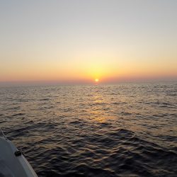 フィッシングボート空風(そらかぜ) 釣果