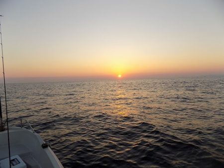 フィッシングボート空風(そらかぜ) 釣果