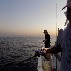 フィッシングボート空風(そらかぜ) 釣果