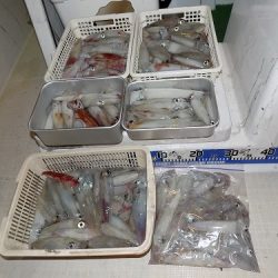 フィッシングボート空風(そらかぜ) 釣果