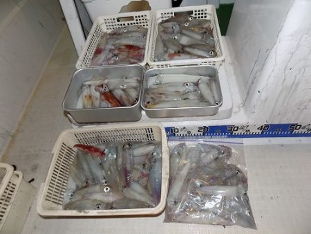 フィッシングボート空風(そらかぜ) 釣果