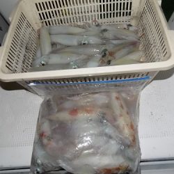 フィッシングボート空風(そらかぜ) 釣果