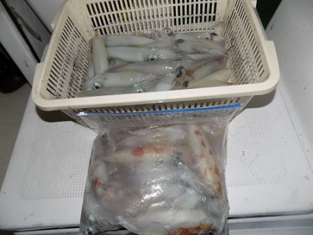 フィッシングボート空風(そらかぜ) 釣果