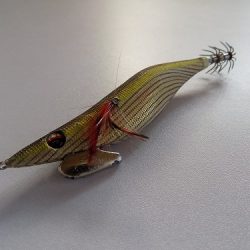 フィッシングボート空風(そらかぜ) 釣果