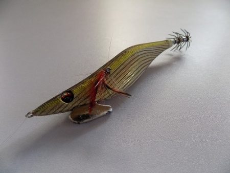 フィッシングボート空風(そらかぜ) 釣果